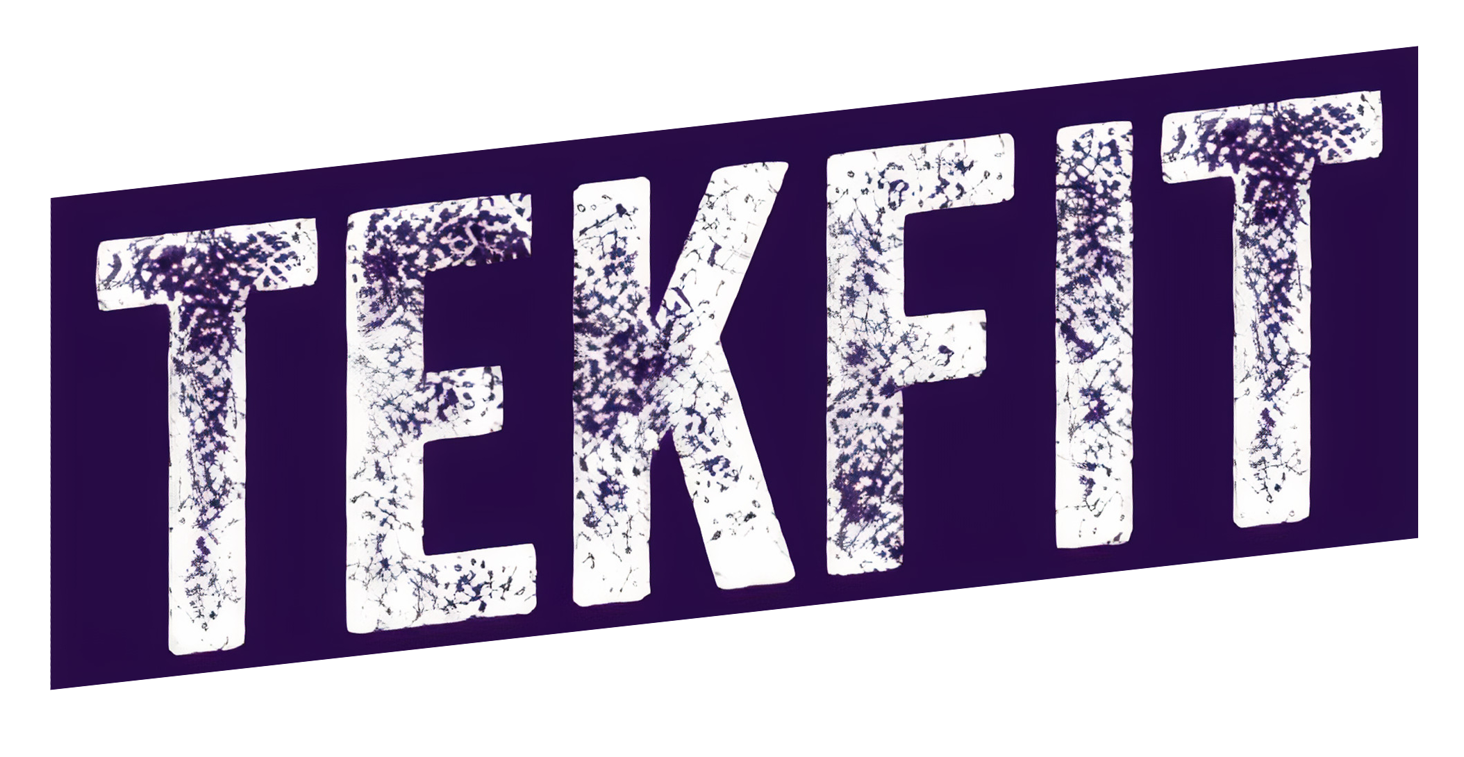 TekFIT EMS Personal Trainer Helsinki logo